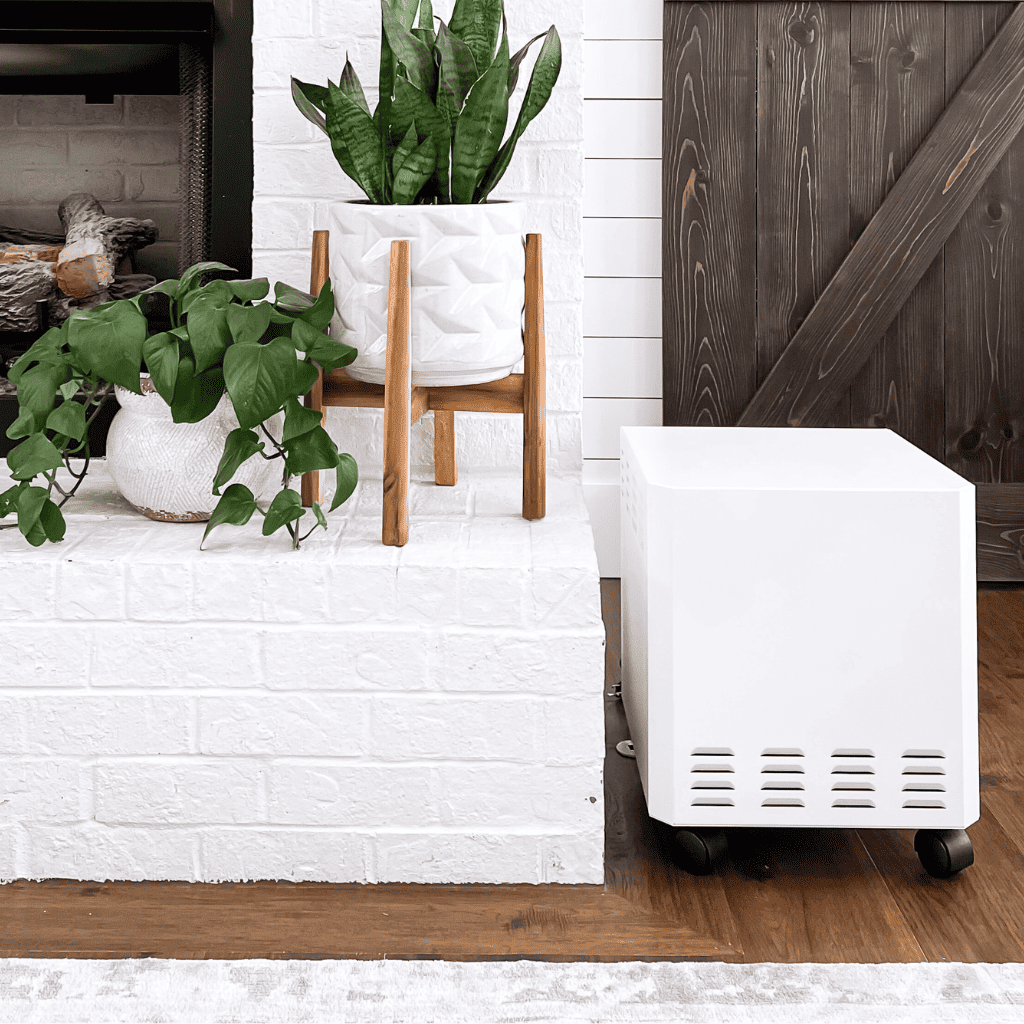 EnviroKlenz Air System Next to House Plants