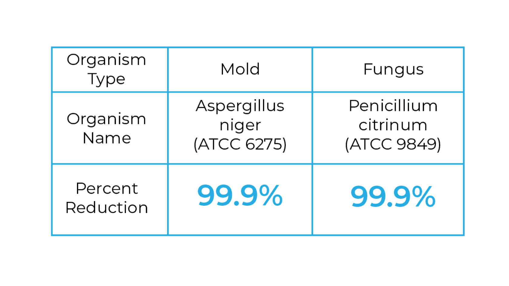 EnviroKlenz vs. Mold