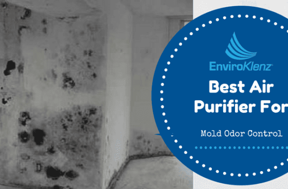 Best Air Purifier For Mold Odor Control