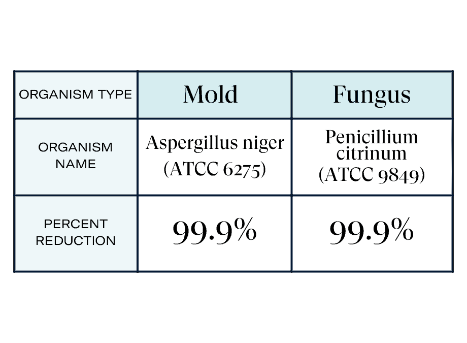 EnviroKlenz Mold testing