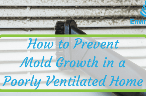 How to Prevent Mold Growth in a Poorly Ventilated Home