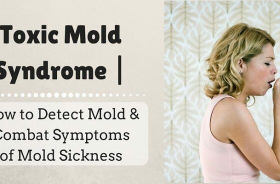 Toxic Mold Syndrome | How to Detect Mold & Combat Symptoms of Mold Sickness