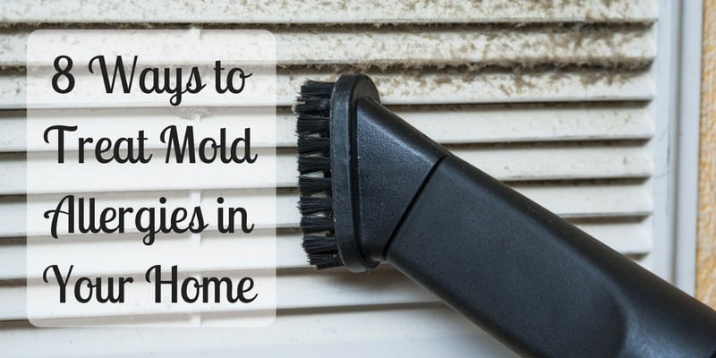 8 Ways to Treat Mold Allergies in Your Home