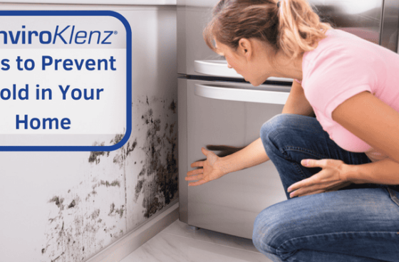 Tips to Prevent Mold in Your Home