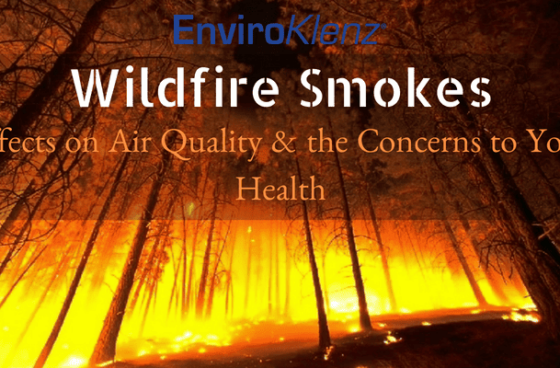 Wildfire Smokes Effects on Air Quality & the Concerns to Your Health