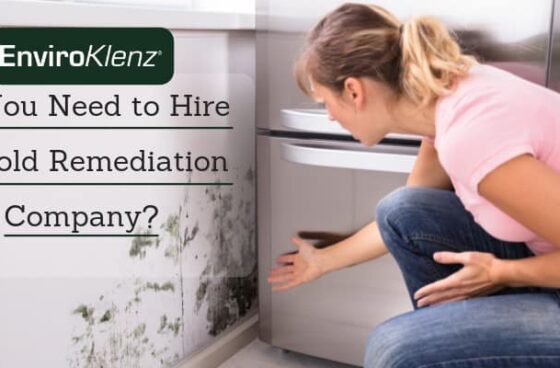 Do You Need to Hire A Mold Remediation Company