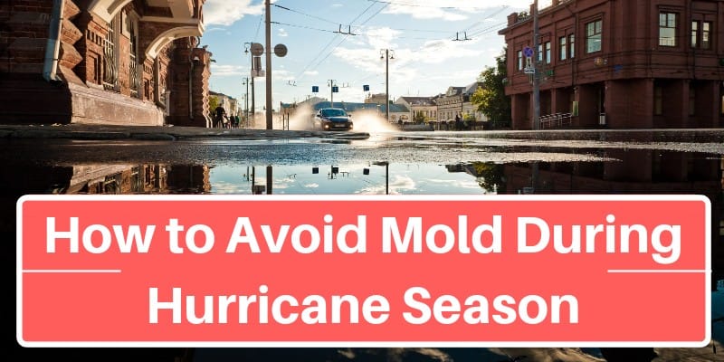 How to Avoid Mold During Hurricane Season