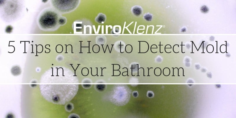 5 Tips on How to Detect Mold in Your Bathroom