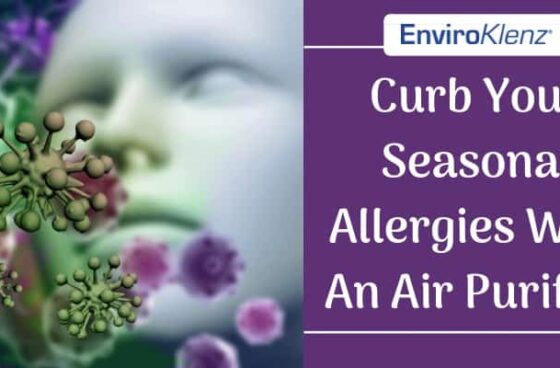 Curb Your Seasonal Allergies With An Air Purifier