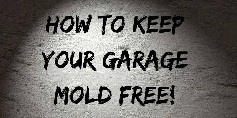 How to Keep Your Garage Mold Free!