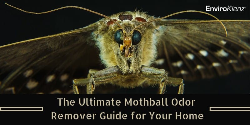 The Ultimate Mothball Odor Remover Guide for Your Home