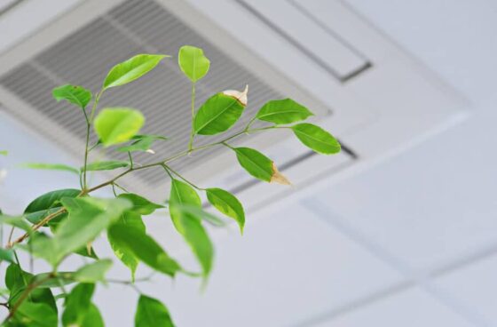 common-sources-of-indoor-air-pollution